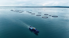 齐心建粮安 广东省属企业以实干护好群众“盘西